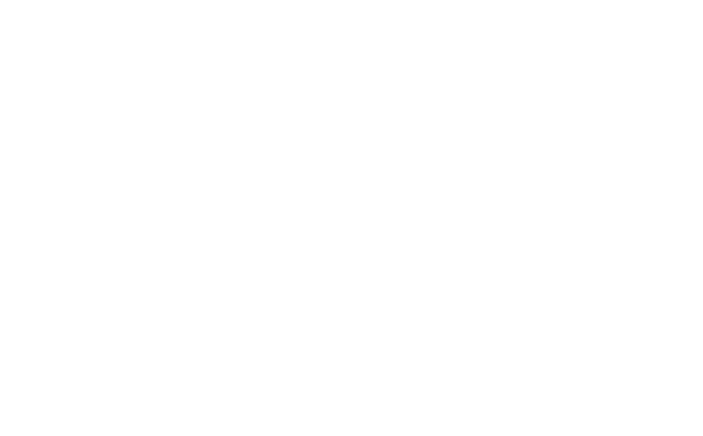 Watermark Logo